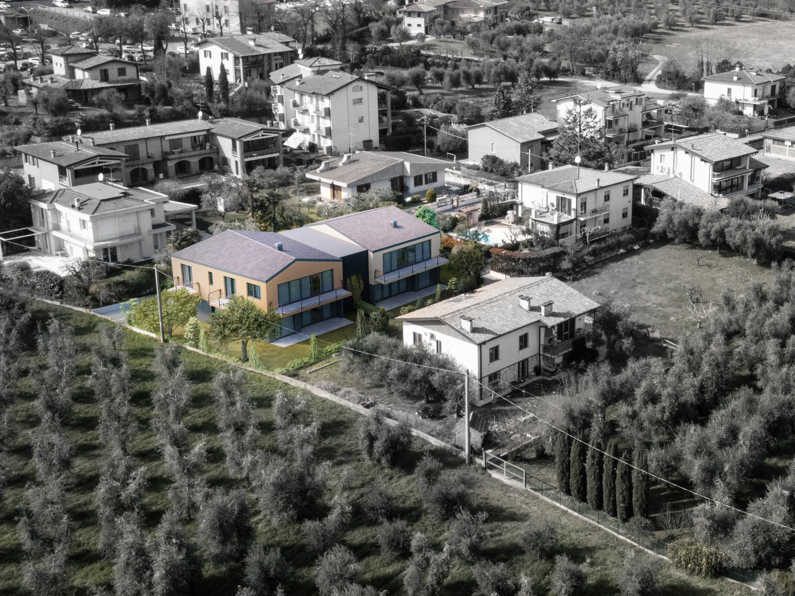 Original Image